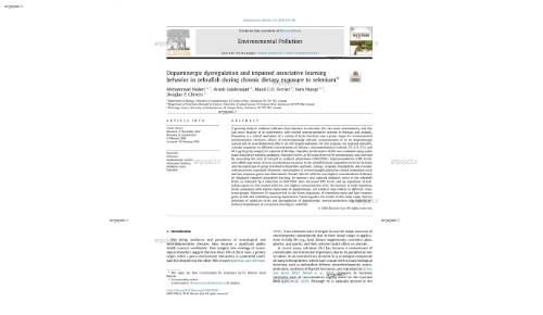 Dopaminergic dysregulation and impaired associative learning behavior in zebrafish during chronic dietary exposure to selenium*
